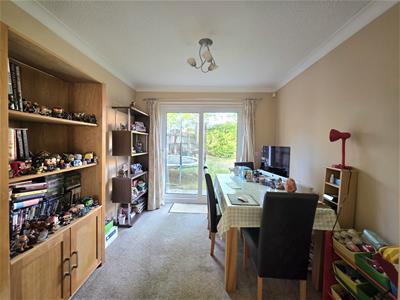 Picture 5